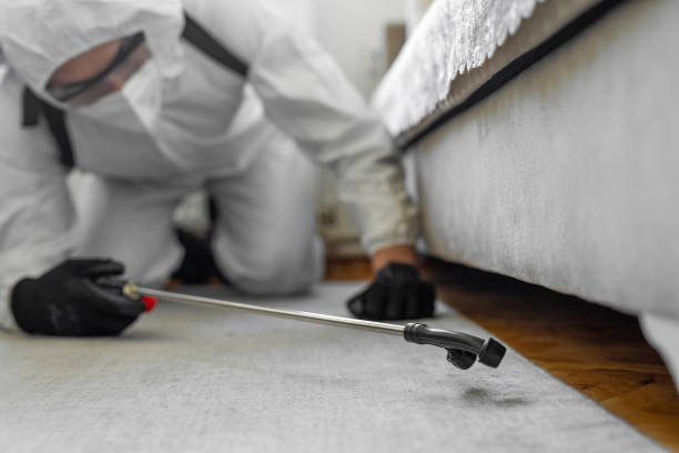 Professional Bed Bug Control technician working in Green Knoll, NJ