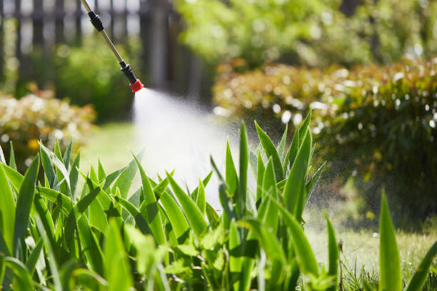 24/7 Emergency Bed Bug Control experts in Green Knoll, NJ