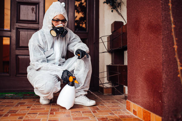 Reliable Bed Bug Control contractor in Green Knoll, NJ by Nex Pest Control