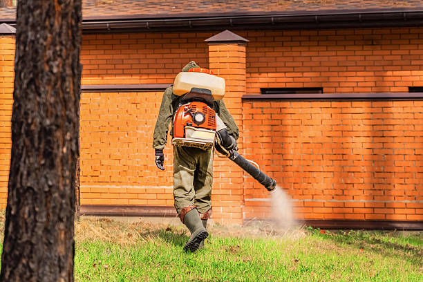 Trusted Rodent Control service in Green Knoll, NJ - Nex Pest Control